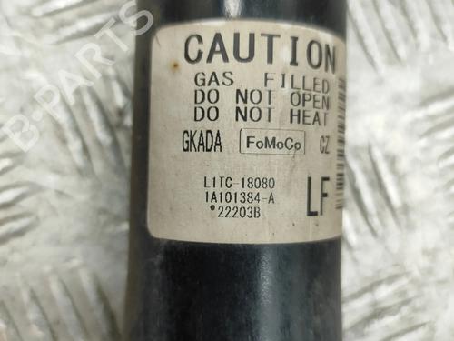 Right rear shock absorber FORD PUMA (J2K, CF7) 1.0 EcoBoost mHEV | BP28437172M19