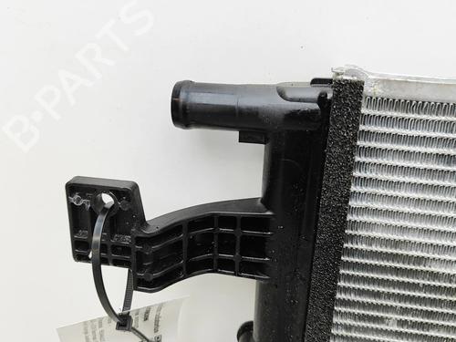Water radiator RENAULT AUSTRAL E-TECH 200 Hybrid (HGM2) | BP33961988M31  - Image 5