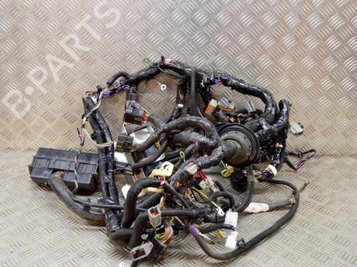 Wiring harness TESLA MODEL S (5YJS) 85 | BP14646851E16 