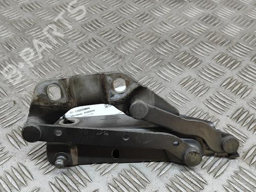 Used Hinge/Door check strap LAND ROVER RANGE ROVER EVOQUE (L538) 2.2 D 4x4 (190 hp) 26167982