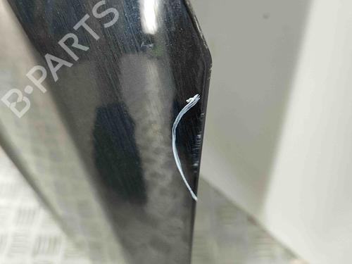 Hood FORD S-MAX (WA6) 2.0 TDCi | BP29541899C1 