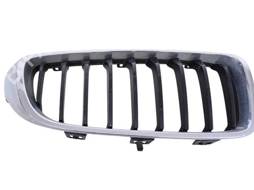 Used Grille FORD USA MUSTANG Coupe 5.0 302 (450 hp) 30256419