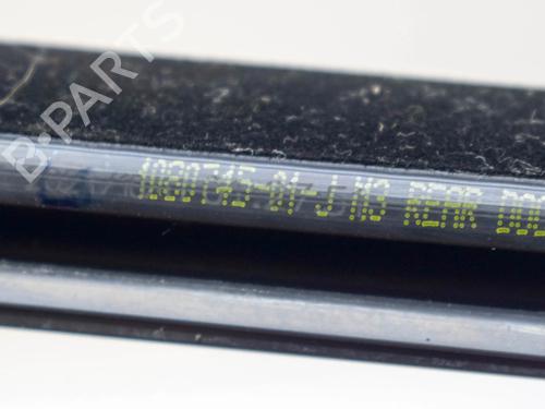 Dørliste TESLA MODEL 3 (5YJ3) EV AWD | BP27756826C150  - Image 6