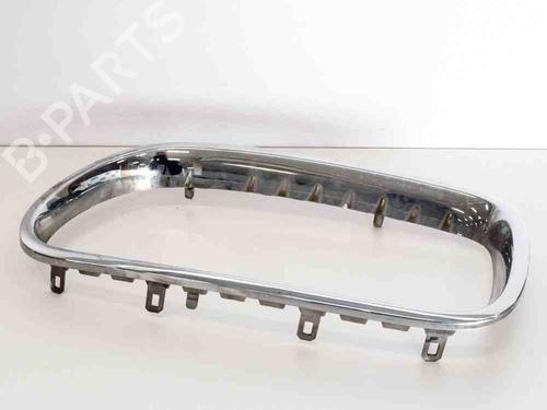 Grille BMW 5 (F10) 520 d | BP14608363C40 