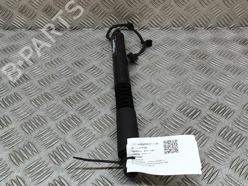 Used Electronic module TESLA MODEL X (5YJX) P100D AWD (772 hp) 19283170