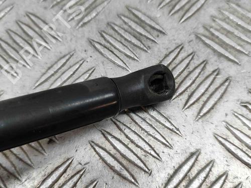 Tailgate lift support FIAT 500L (351_, 352_) 1.6 D Multijet (199LYD1B) | BP23247812C138