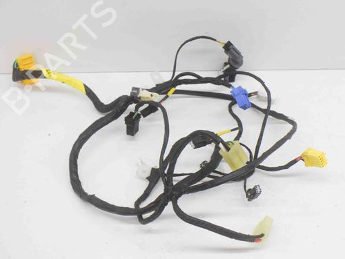 Ledningsnet TESLA MODEL S (5YJS) 75D AWD (525 hp) 20231601