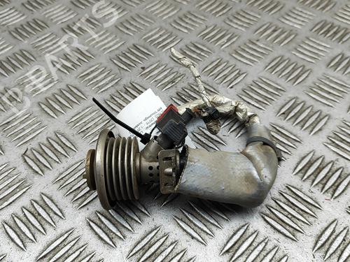 Injector LAND ROVER DISCOVERY V (L462) 3.0 Td6 4x4 | BP30130895M100