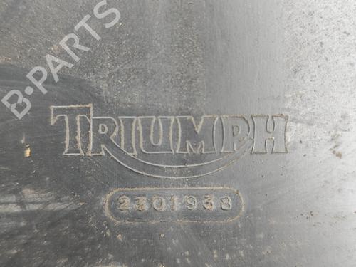 Other TRIUMPH MOTORCYCLES THRUXTON Thruxton 900 (986ME2) | BP28563085O1 