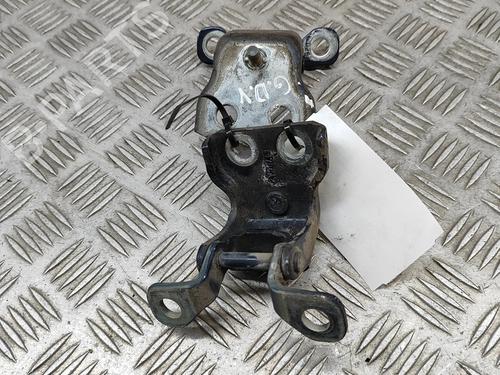 Hinge/Door check strap FORD USA F-150 4.2 4x4 | BP28557517C146 