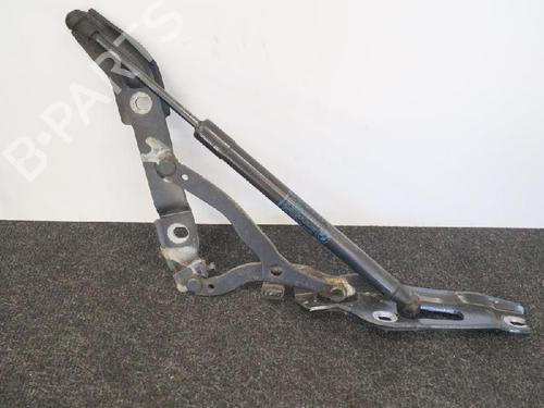 Used Hinge/Door check strap BMW 3 (E90) 325 i (218 hp) 14657836