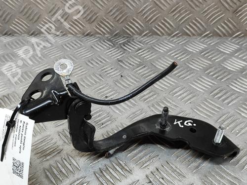 Hinge/Door check strap JAGUAR I-PACE (X590) EV400 AWD | BP27766805C146 