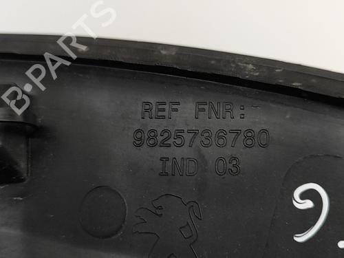 Rear left wheel arch trim PEUGEOT 2008 II (UD_, US_, UY_, UJ_, UR_, UC_) e-2008 (UKZKXZ) | BP29042311C136 