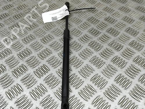 Hood lift support LAND ROVER DISCOVERY V (L462) 3.0 Td6 4x4 | BP30130782C139