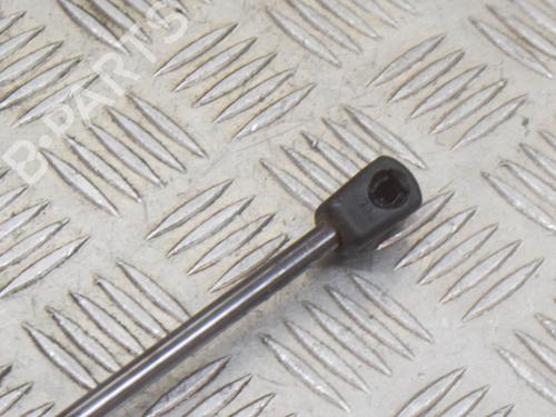 Hood lift support BMW 2 Coupe (F22, F87) 220 i | BP14625270C139 