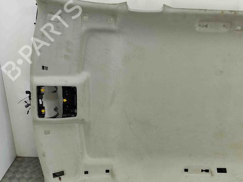 Interior roof JAGUAR F-PACE (X761) 2.0 TD4 | BP29829705I12