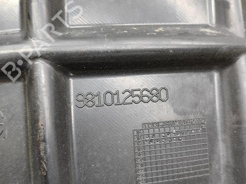 Wheel arch PEUGEOT 3008 II SUV (MC_, MR_, MJ_, M4_) 1.6 BlueHDi 120 | BP25380267C56