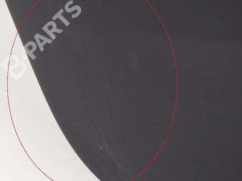 Front left panel TESLA MODEL X (5YJX) P100D AWD | BP7797421C58 