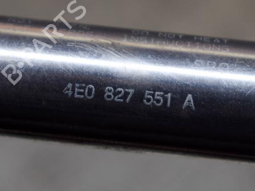 Tailgate lift support AUDI A8 D3 (4E2, 4E8) 4.0 TDI quattro | BP14632047C138 