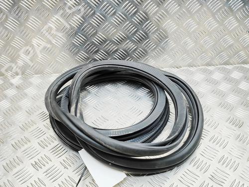 Gummiliste BMW X7 (G07) xDrive 40 i Mild Hybrid | BP33390028C142 - Image 2