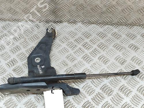Used Hinge/Door check strap BMW X5 (E70) xDrive 40 d (306 hp) 19428019