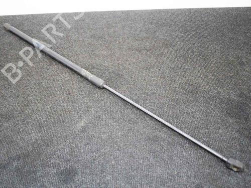 Hood lift support VW PASSAT B6 (3C2) 2.0 TDI 16V | BP14665962C139 
