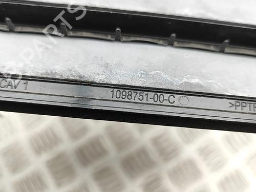 Grill TESLA MODEL Y (5YJY) Long Range All-wheel Drive | BP33625333C40 - Image 6