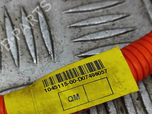 Wiring harness TESLA MODEL X (5YJX) 90D AWD | BP17077083E16 