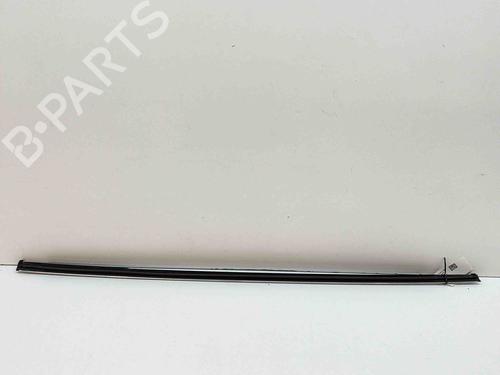Door moulding trim TESLA MODEL X (5YJX) P100D AWD | BP28435662C150