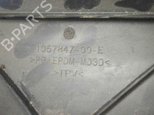 Grille TESLA MODEL S (5YJS) 75 | BP30224980C40 