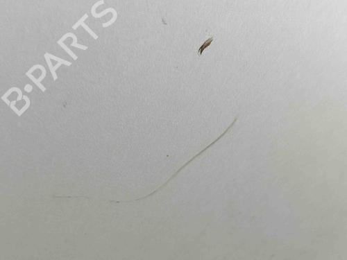 Left rear door MERCEDES-BENZ E-CLASS (W124) E 300 D (124.131) | BP25216671C4 