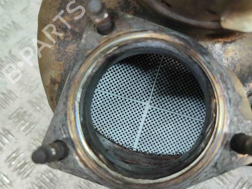 Catalyst AUDI A4 B9 Avant (8W5, 8WD) 2.0 TDI | BP29541948M10