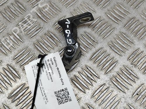 Hinge/Door check strap SKODA OCTAVIA III (5E3, NL3, NR3) 2.0 TDI | BP16141566C146 