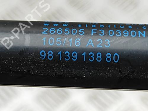 Tailgate lift support CITROËN C4 CACTUS 1.6 BlueHDi 100 | BP29975748C138