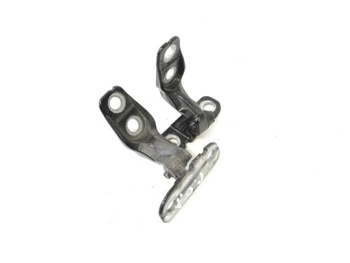 Hinge/Door check strap JAGUAR F-TYPE Coupe (X152) 3.0 SCV6 S | BP30212289C146