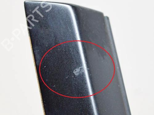 Dørliste TESLA MODEL 3 (5YJ3) EV | BP27758379C150