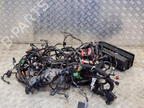Wiring harness LAND ROVER RANGE ROVER SPORT II (L494) 3.0 SDV6 4x4 | BP27757044E16 