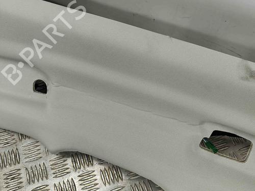 Interior roof VOLVO XC60 II (246) 2.0 B5 Mild-Hybrid | BP28548602I12