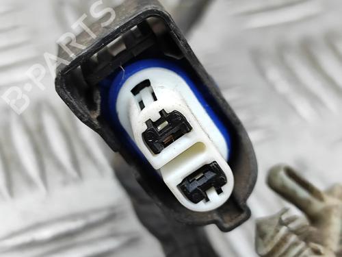 Electronic module LAND ROVER RANGE ROVER EVOQUE (L538) 2.2 D 4x4 | BP29753312M83