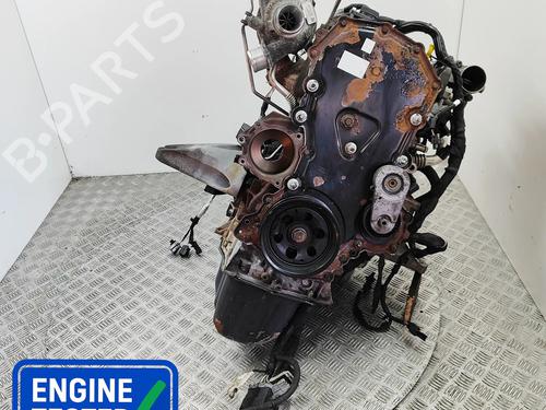 Used Engine FORD TRANSIT V363 Van (FCD, FDD) 2.0 EcoBlue RWD (130 hp) 33110212