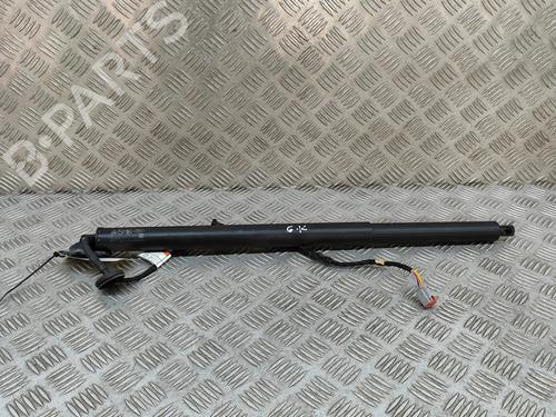 Used Tailgate lift support Tailgate lift support FORD KUGA III (DFK) 2.5 FHEV (190 hp) 29391252 29391252