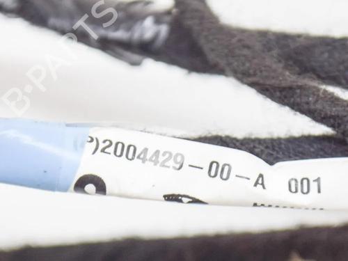 Wiring harness TESLA MODEL S (5YJS) 75 | BP14616066E16  - Image 6