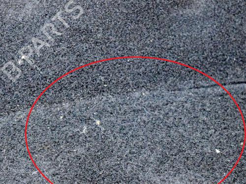 Boot lining TESLA MODEL S (5YJS) 75 | BP14631866I3 