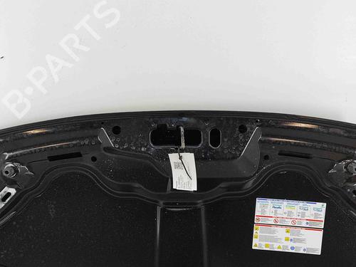 Hood FIAT 500 (312_) 1.0 Mild Hybrid (312.AYD1B) | BP29373316C1 