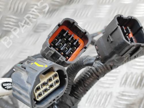 Wiring harness LAND ROVER RANGE ROVER SPORT II (L494) 3.0 SDV6 4x4 | BP28550539E16 