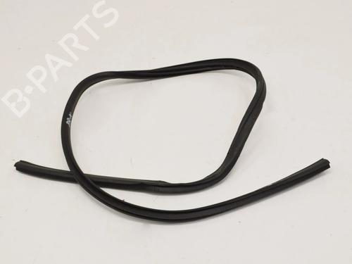 Gummiliste BMW 1 Convertible (E88) 135 i (306 hp) 14664872