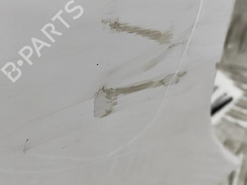 Left front fenders RENAULT MASTER III Van (FV) 2.3 dCi 145 FWD (FV0E, FV0F, FV0H, FV02, FV0M, FV0S,... | BP30082318C41