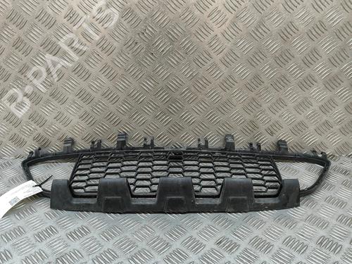 Used Grille BMW 3 Touring (F31) 318 d xDrive (143 hp) 29076211