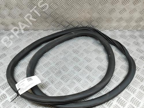 Used Rubber door seal CITROËN C4 III (BA_, BB_, BC_) 1.2 PureTech 130 (BAHNSA, BAHNSB) (130 hp) 28557852