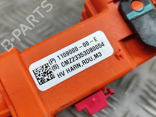 Wiring harness TESLA MODEL Y (5YJY) EV Performance All-wheel Drive | BP27789763E16 